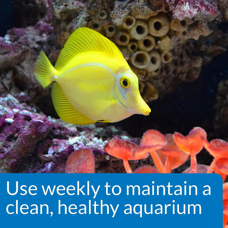 API Marine Stress Zyme Saltwater Aquarium Cleaning Solution