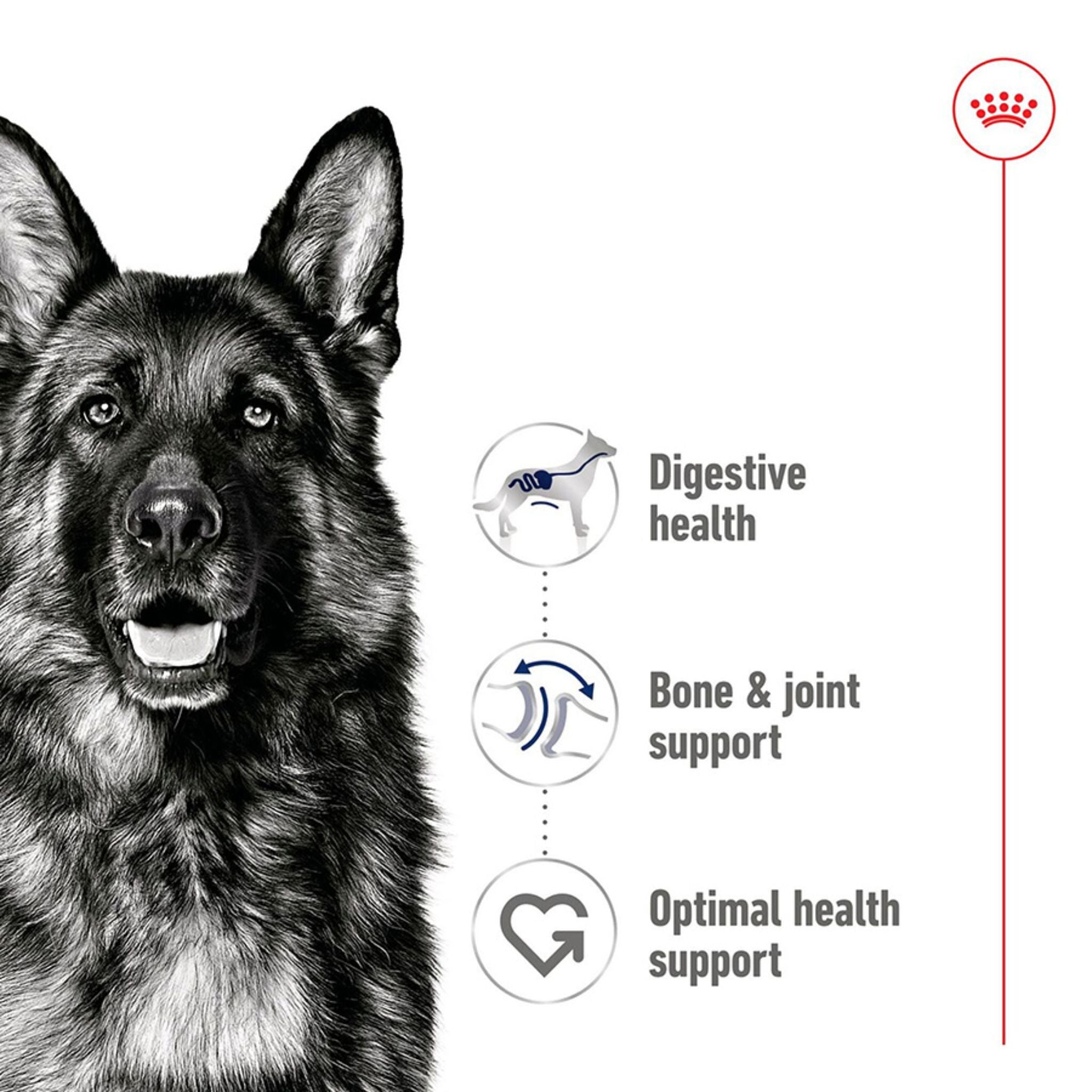 Royal Canin Maxi Adult Loaf Wet Dog Food Can