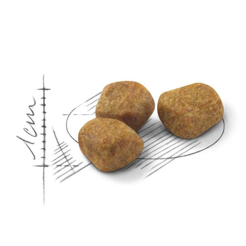 Royal Canin Indoor 7+ Dry Cat Food