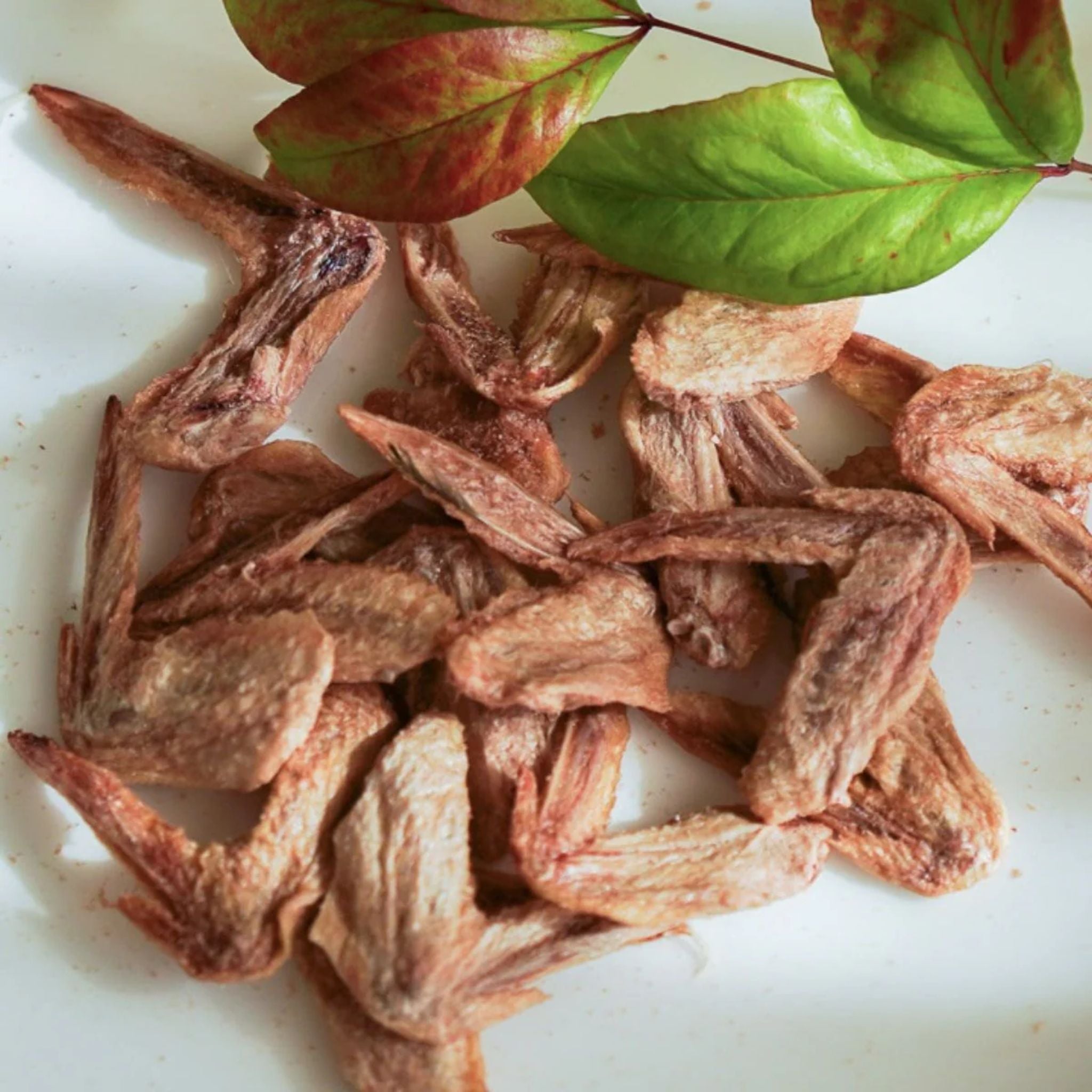 FuReeze Dried Quail Freeze Dried Pet Treats