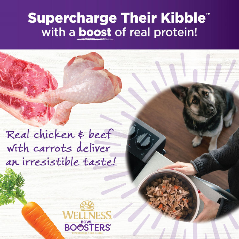 Wellness Core Wet Dog Food Simply Shreds Shredded Boneless Chicken, Beef & Carrots