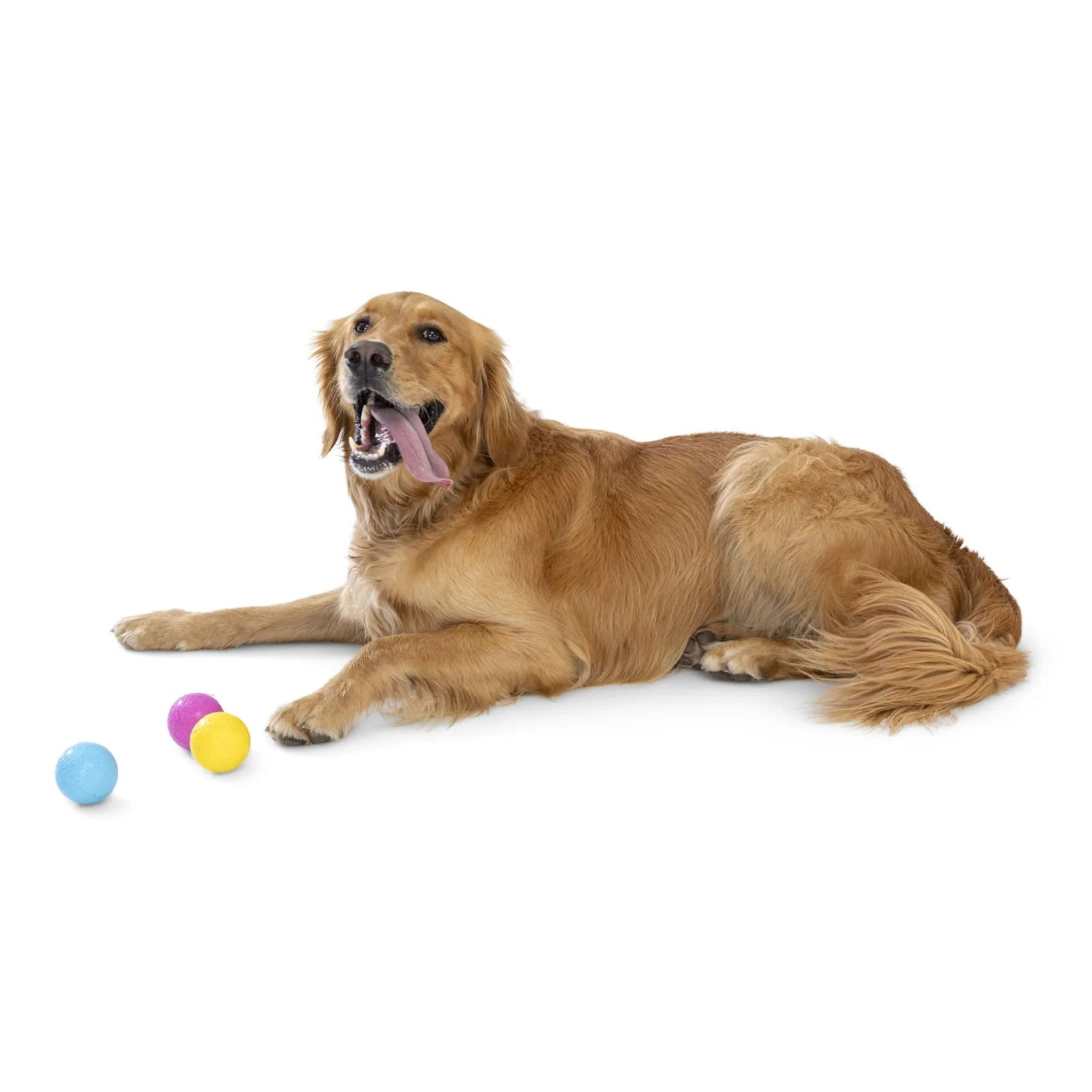 West Paw Boundr Fetch Dog Toys