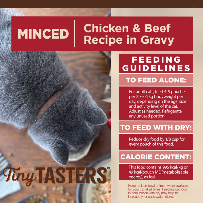 Wellness Core Wet Cat Food Tiny Tasters Minced Chicken & Beef