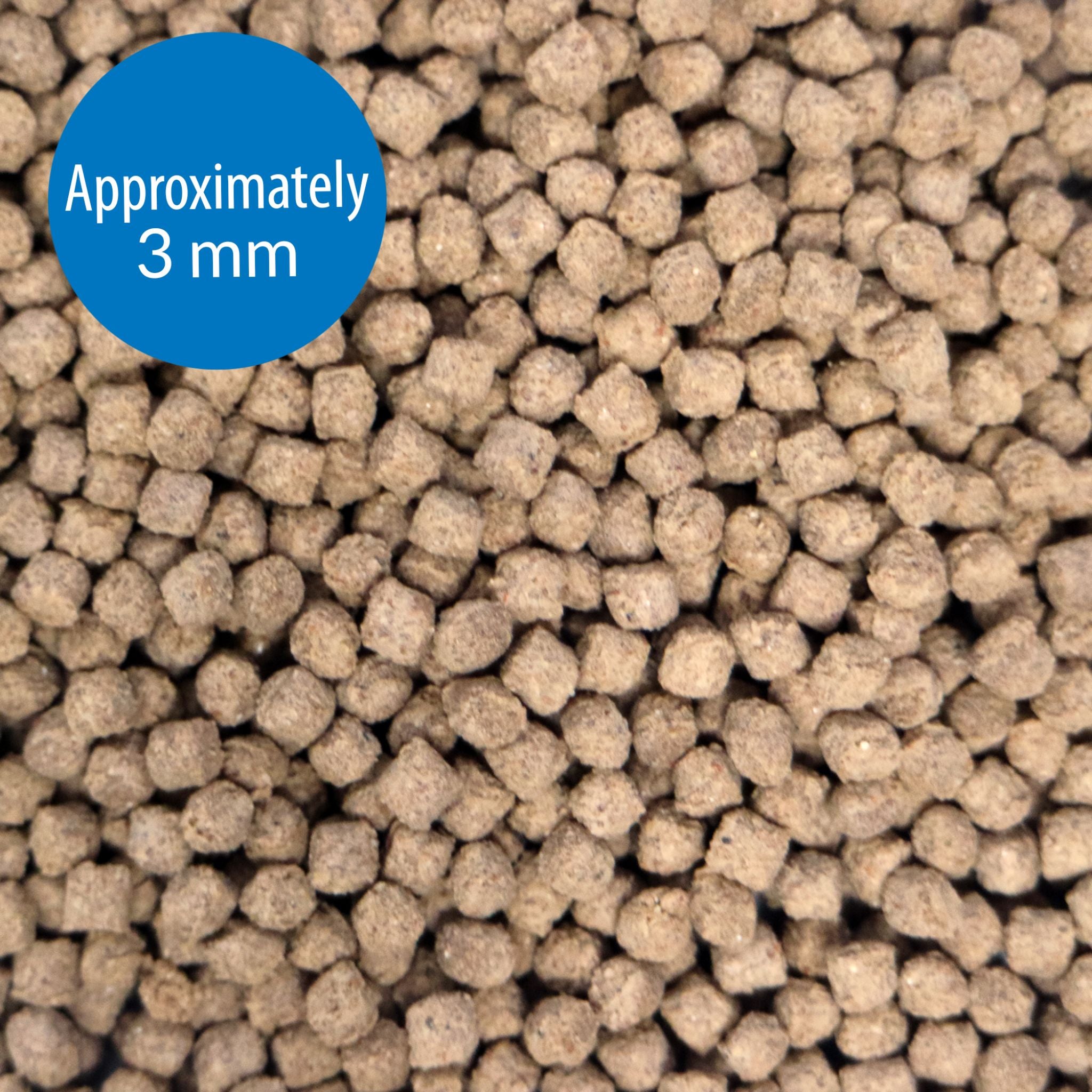 API Bottom Feeder Squid Pellets
