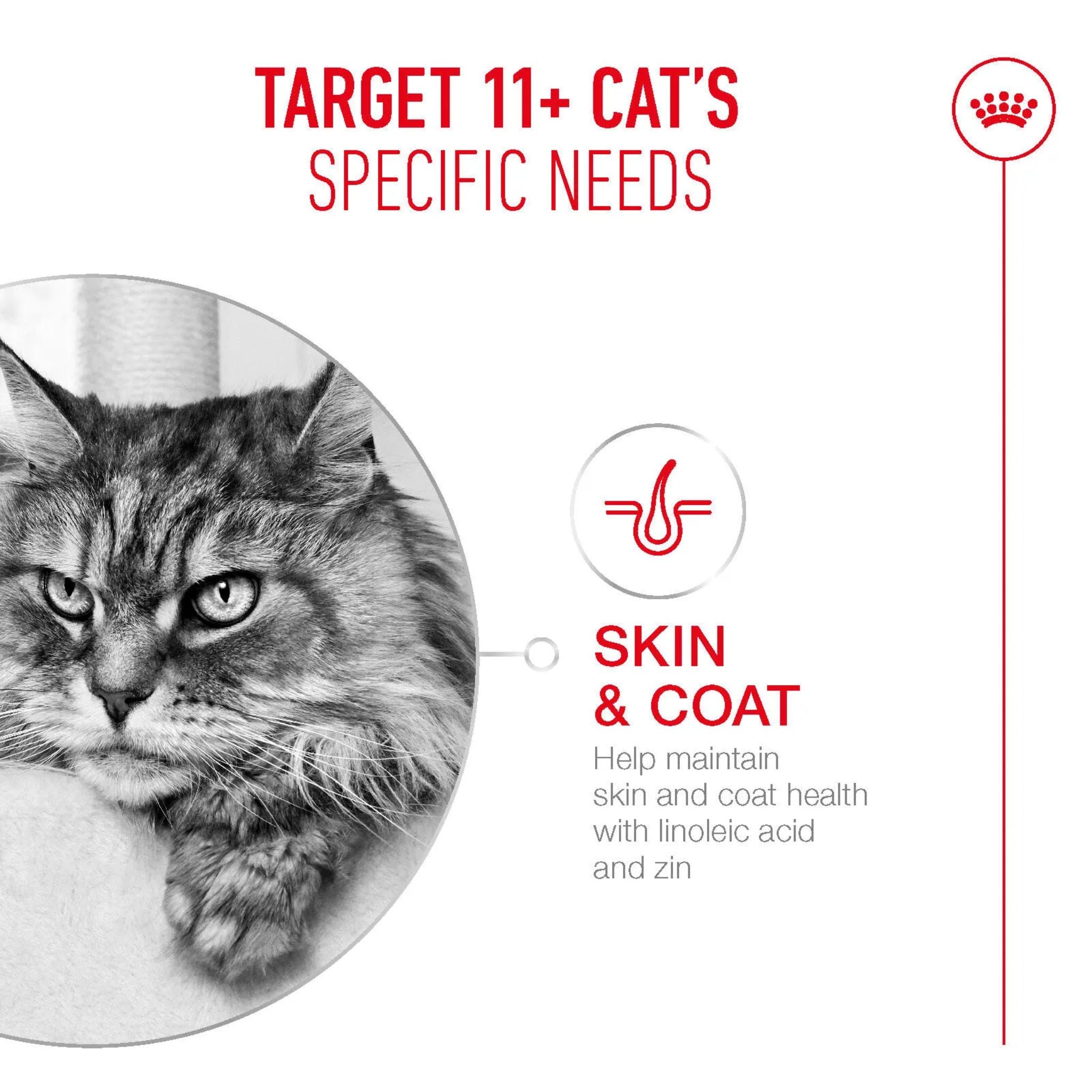 Royal Canin Ageing 11+ Gravy Wet Cat Food