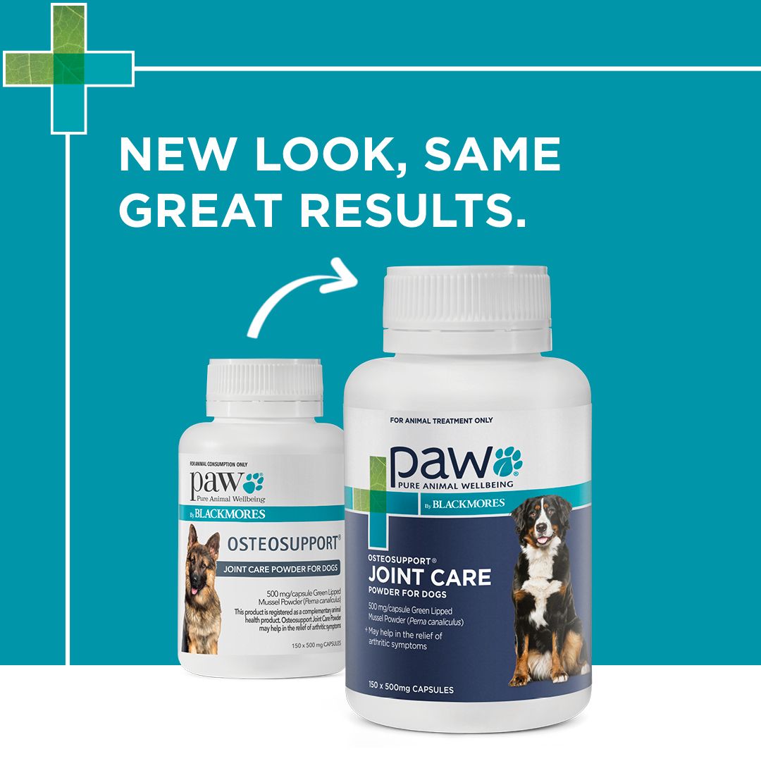 PAW by Blackmores OsteoSupport Joint Care Powder for Dogs