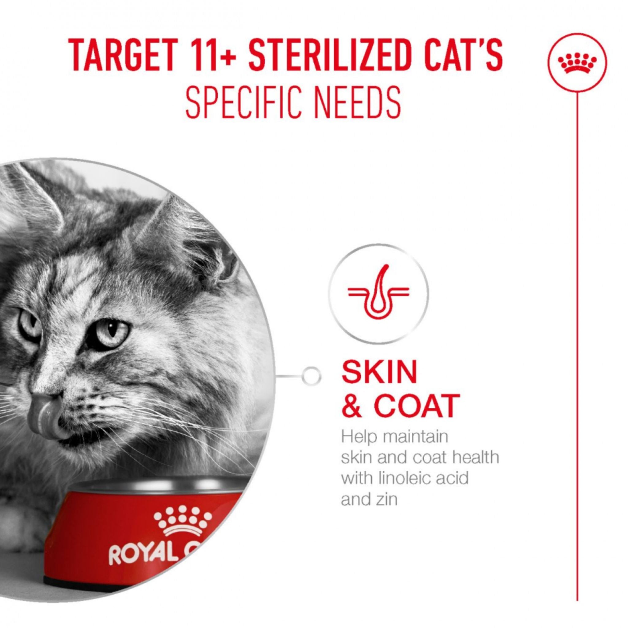 Royal Canin Ageing 11+ Jelly Wet Cat Food
