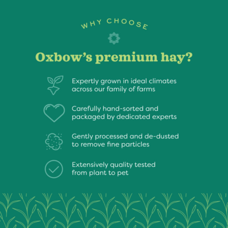 Oxbow Hay Blends - Western Timothy & Orchard Grass