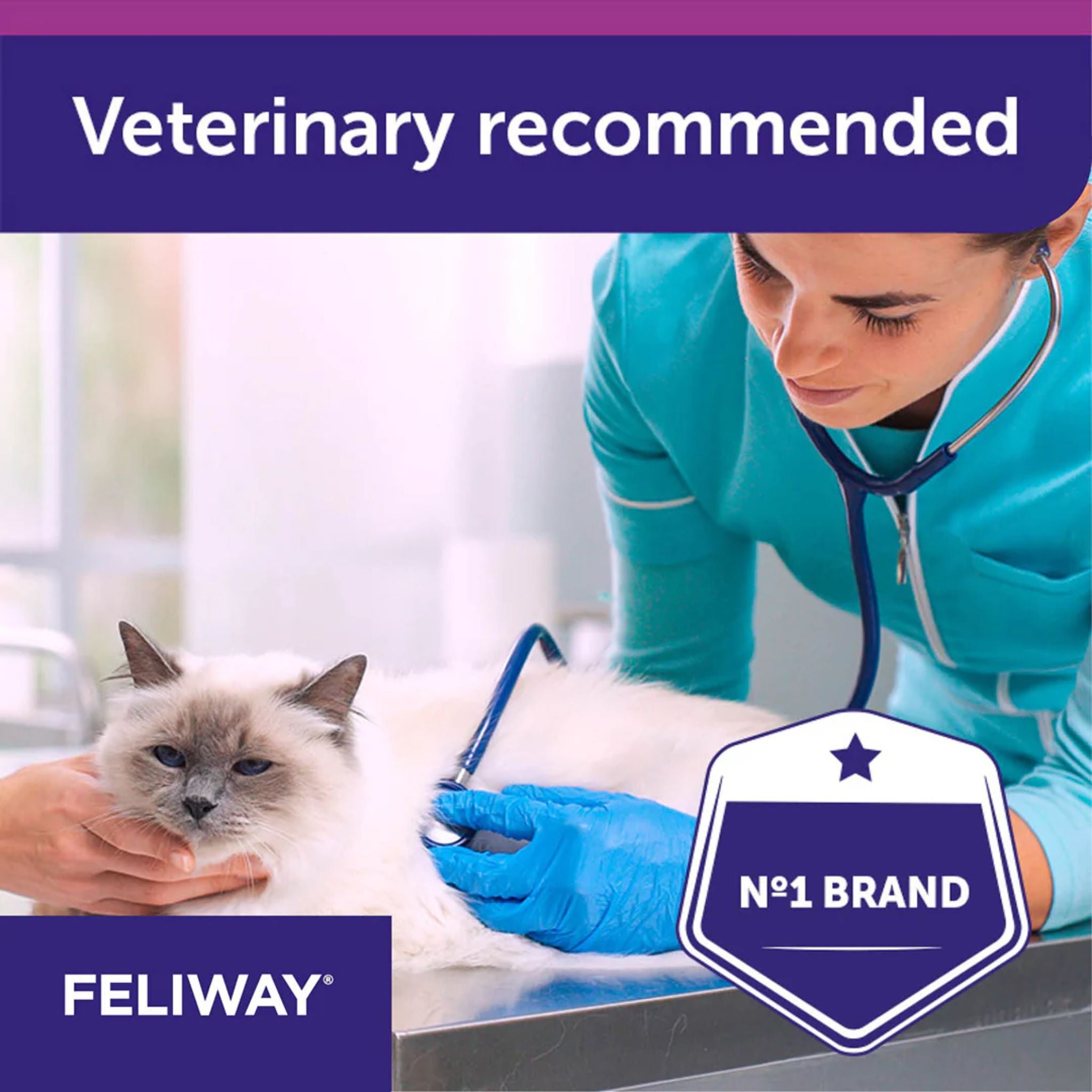 Feliway Spray