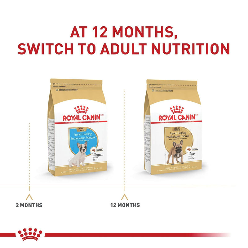 Royal Canin French Bulldog Puppy