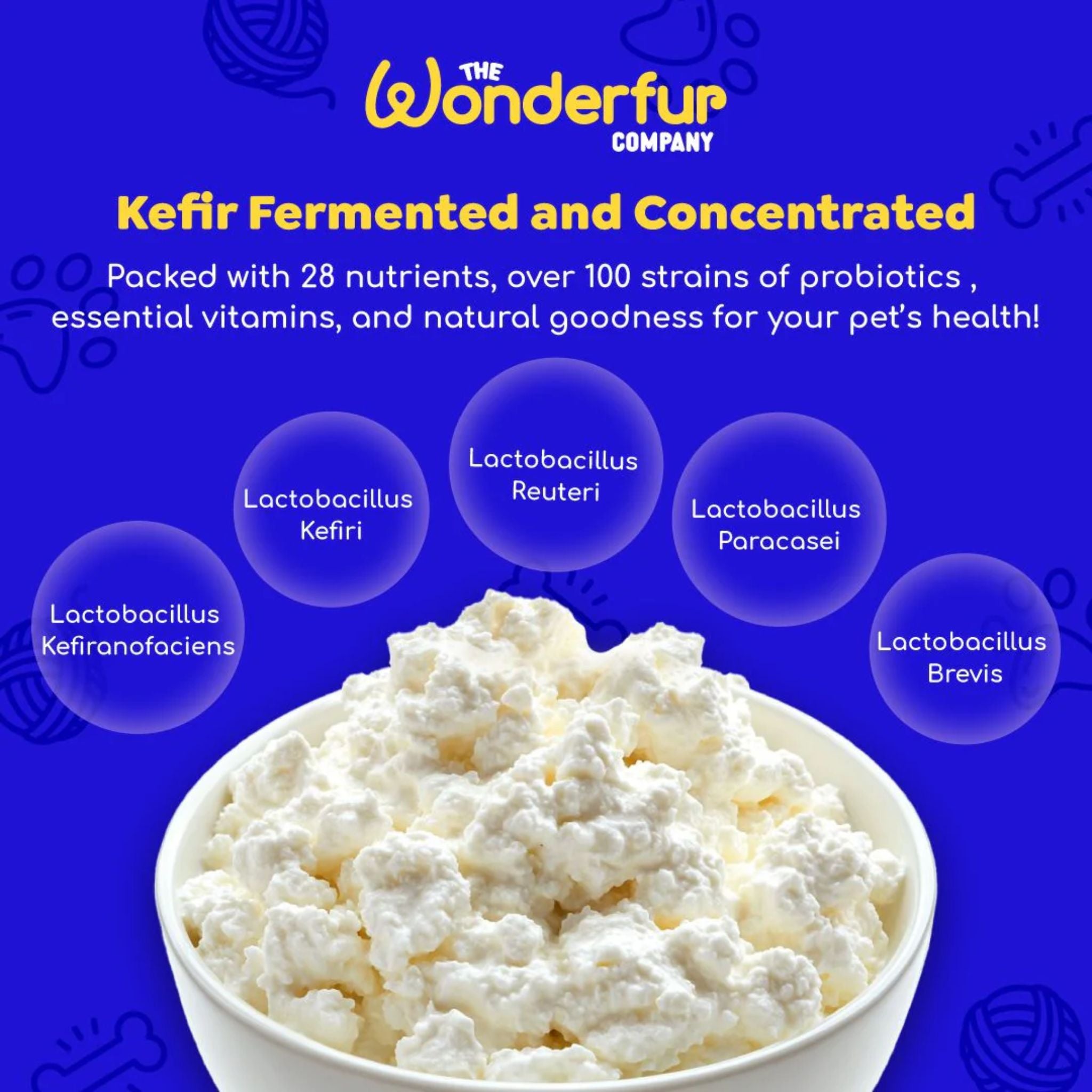 Wonderfur Bites Immune Booster for Dogs