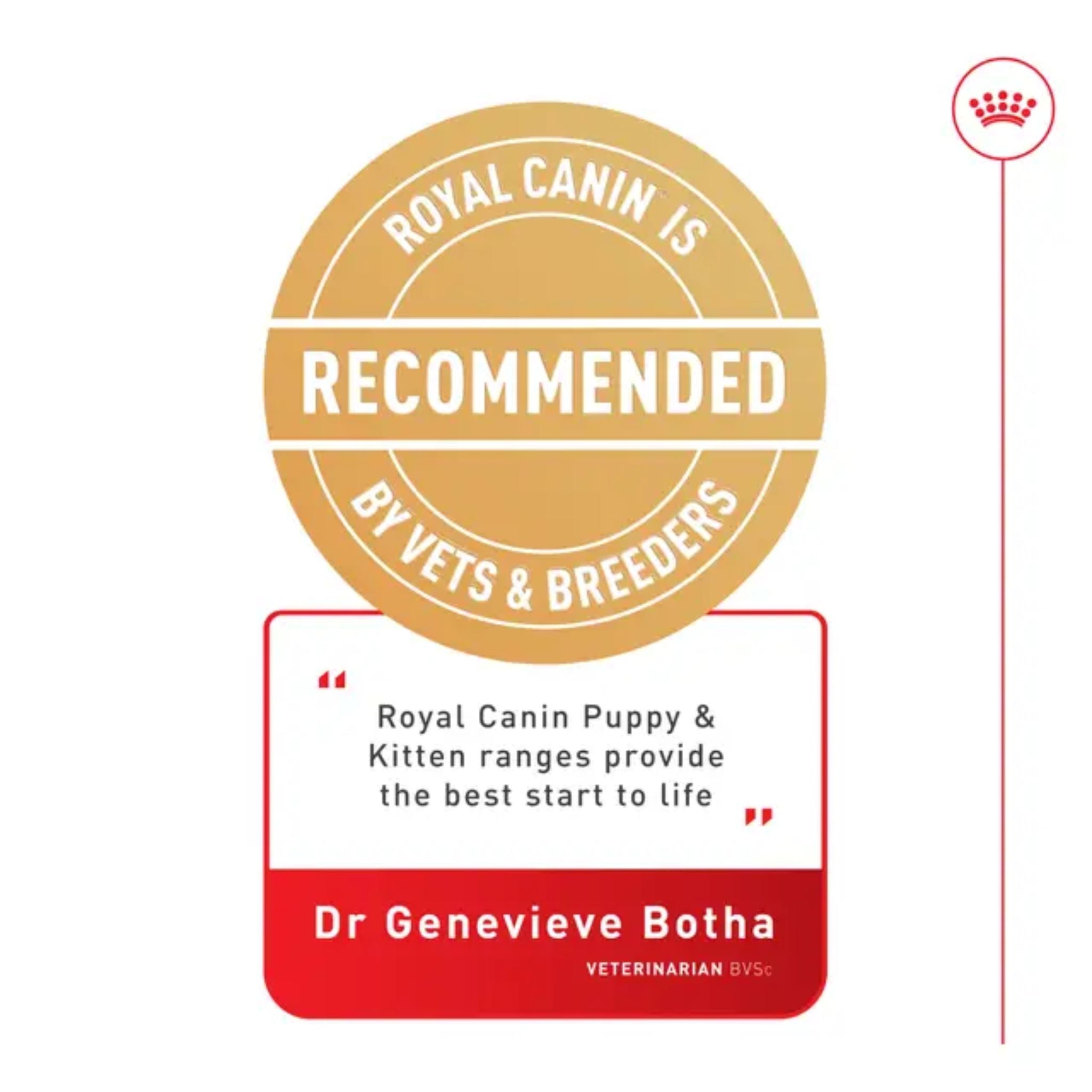 Royal Canin Second Age Kitten Dry Cat Food