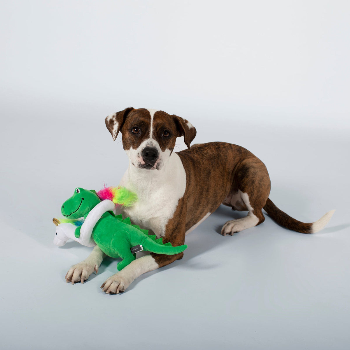 Fringe Studio Plush Squeaker Dog Toy - Summa Time Rex — detail