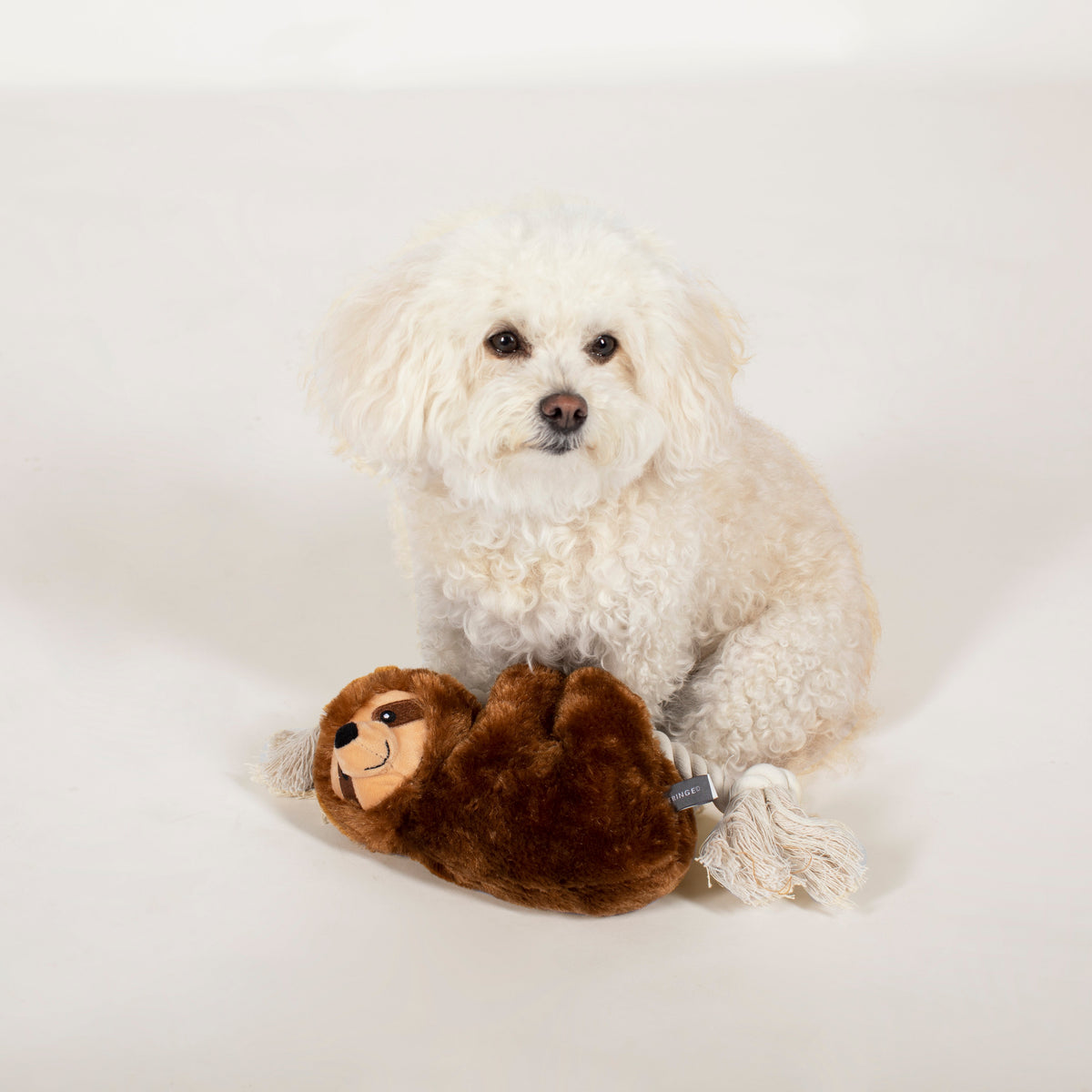 Fringe Studio Plush Squeaker Dog Toy - Brown Sloth on A Rope — alternate view