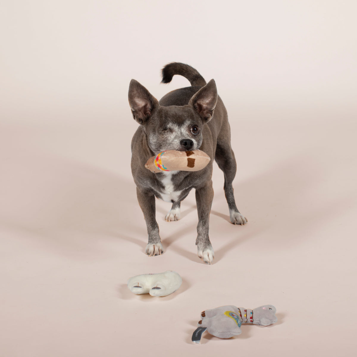 Fringe Studio Plush Dog Toy Set - Llama Love You Forever — detail