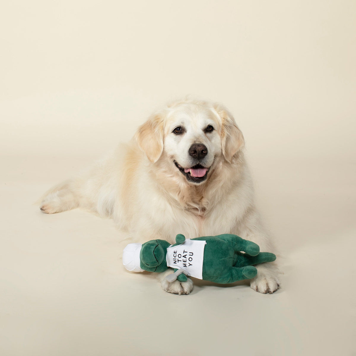 Fringe Studio Plush Squeaker Dog Toy - Bbq Rex — detail