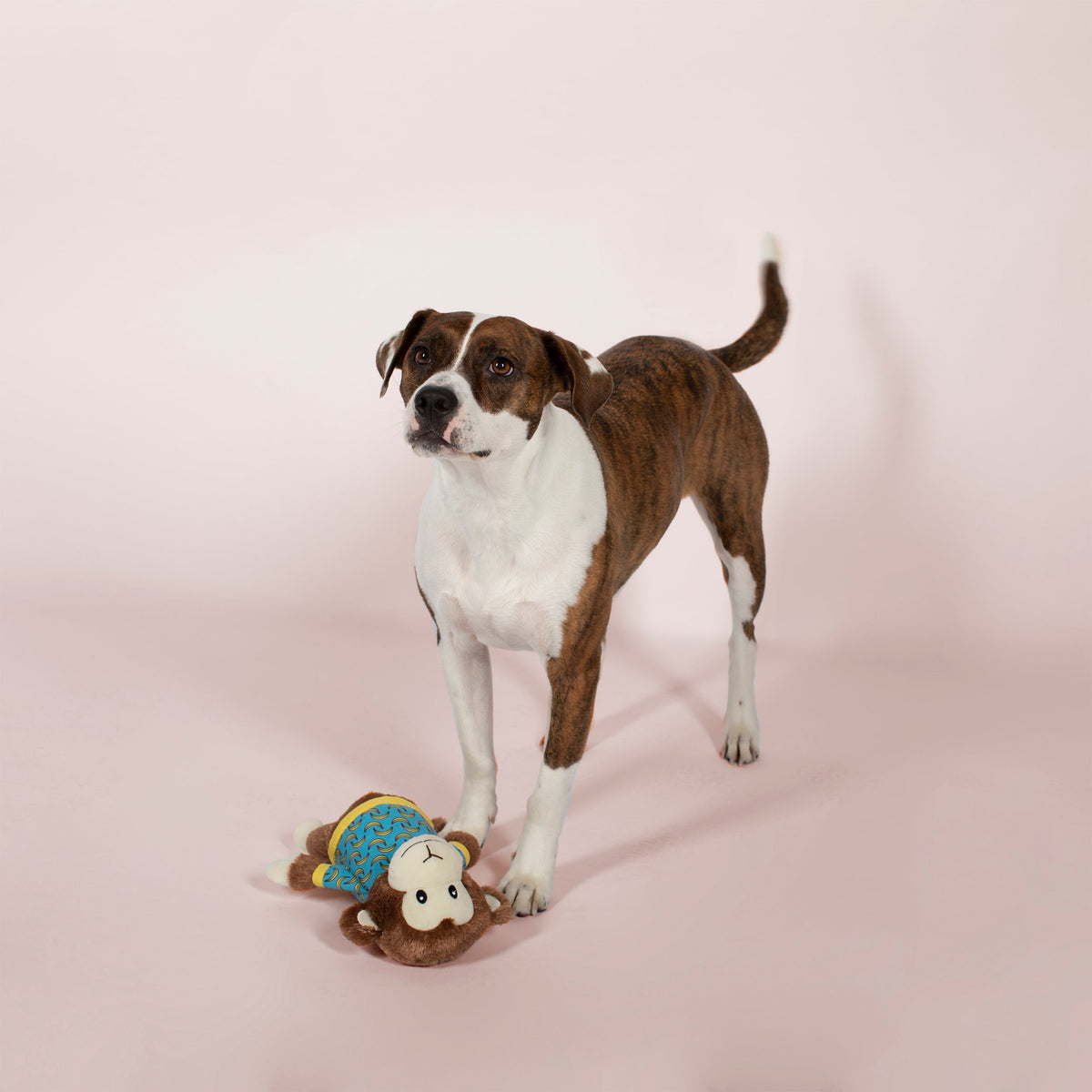 Fringe Studio Large Plush Dog Toy - Bananas The Monkey — detail