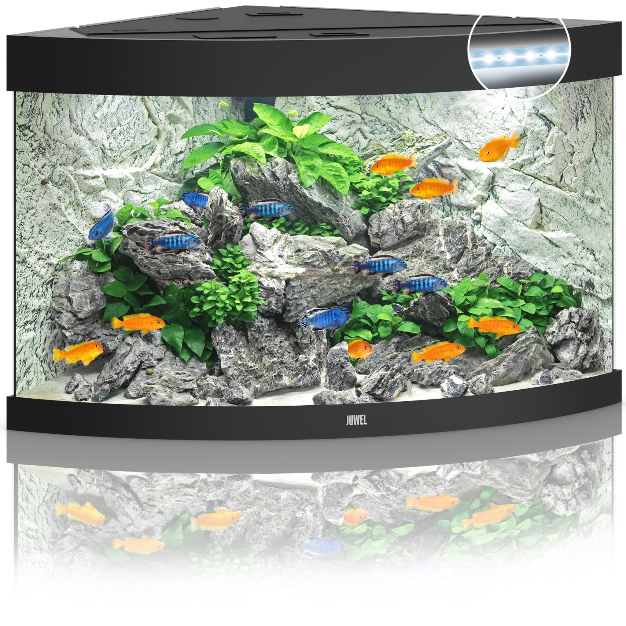 Juwel Trigon LED Aquarium 190L