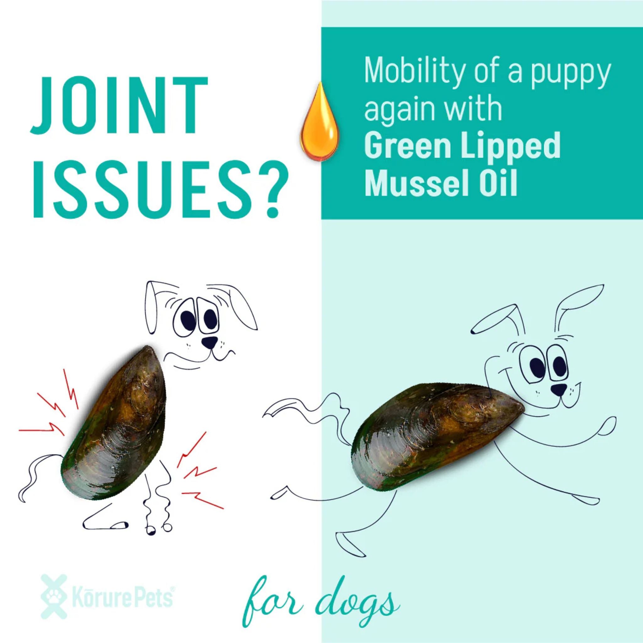 Korure Pets Marine Phospholipid Oil for Dogs