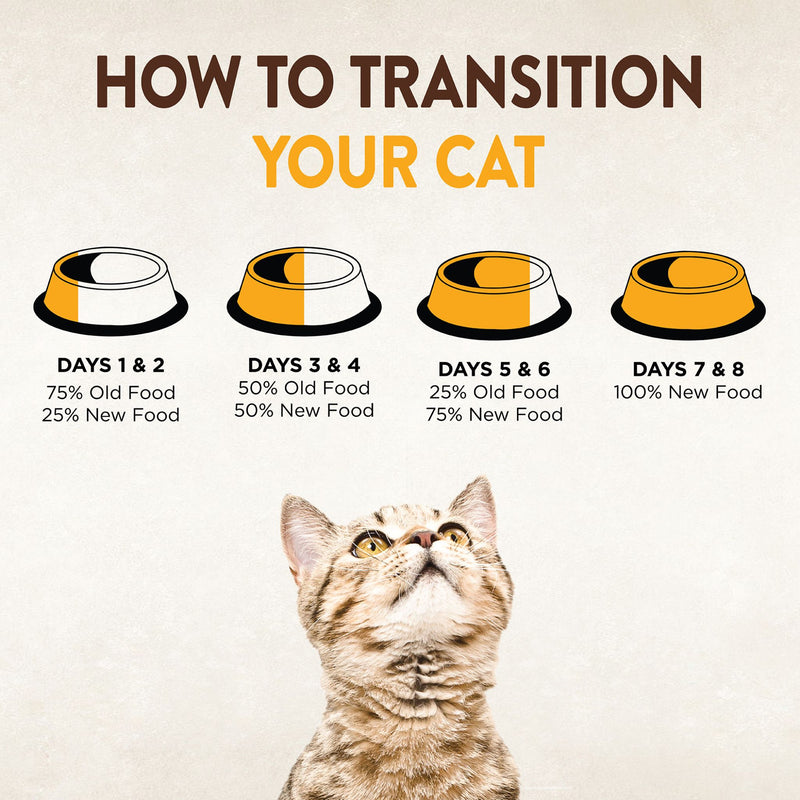 Wellness Core Dry Cat Food Grain Free Indoor: Chicken & Turkey