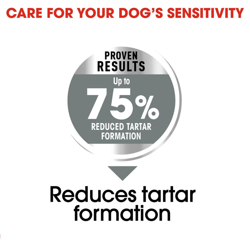 Royal Canin Maxi Dental Care