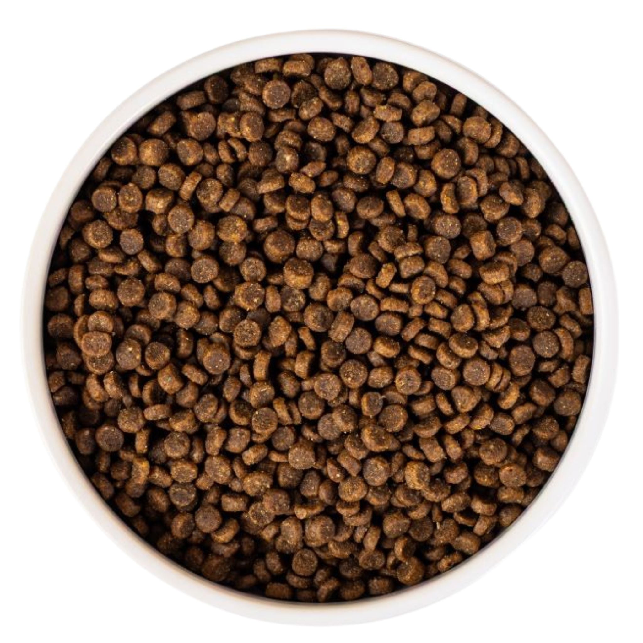 SavourLife Kitten Chicken Dry Cat Food