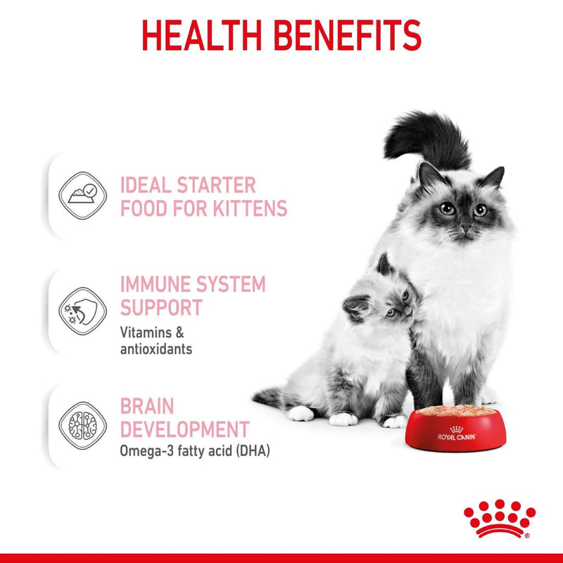 Royal Canin Mother and BabyCat Mousse | PeekAPaw Pet Supplies