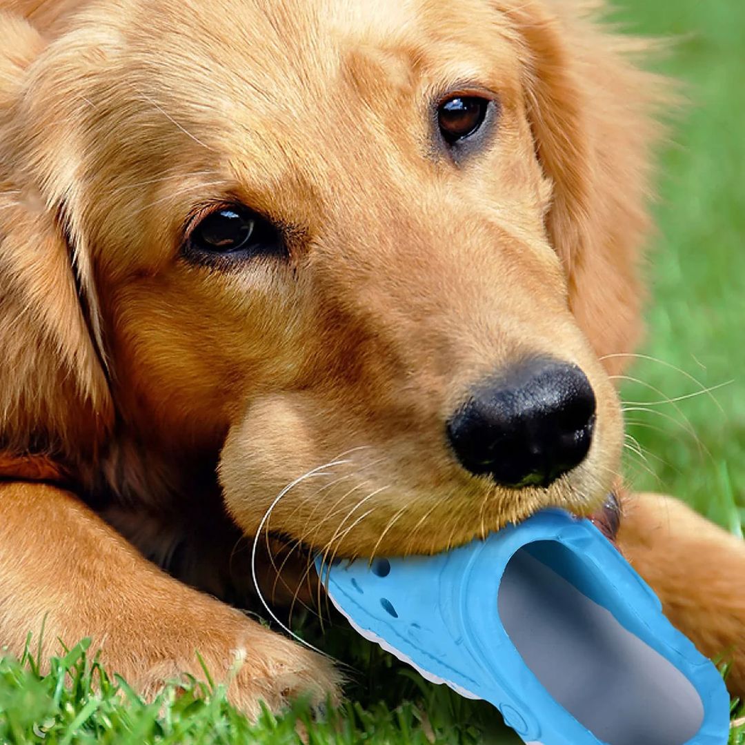 Petopia Ultra Tough Dog Toy Cozy Slipper