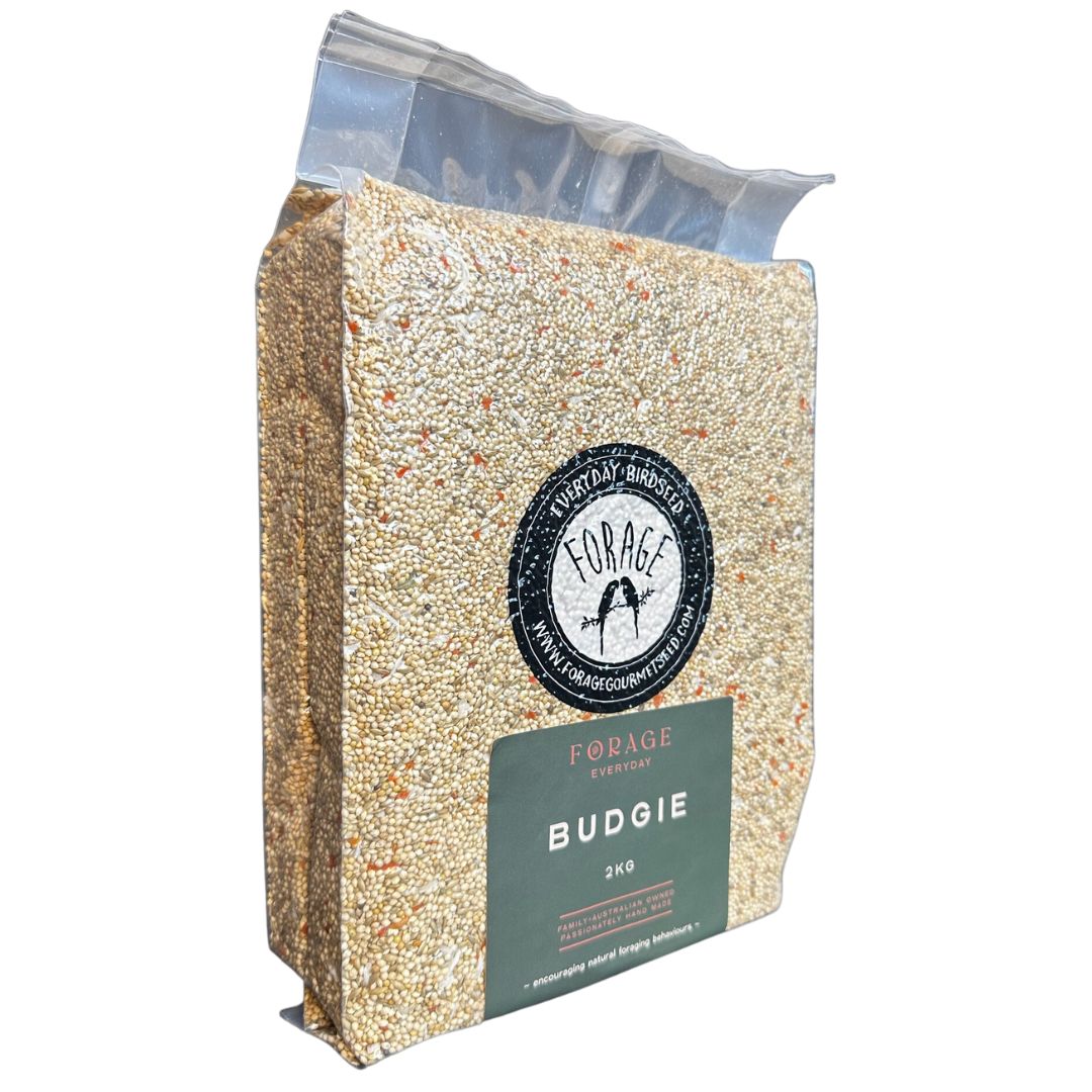 Forage Everyday Bird Seeds Budgie - 2kg | PeekAPaw Pet Supplies