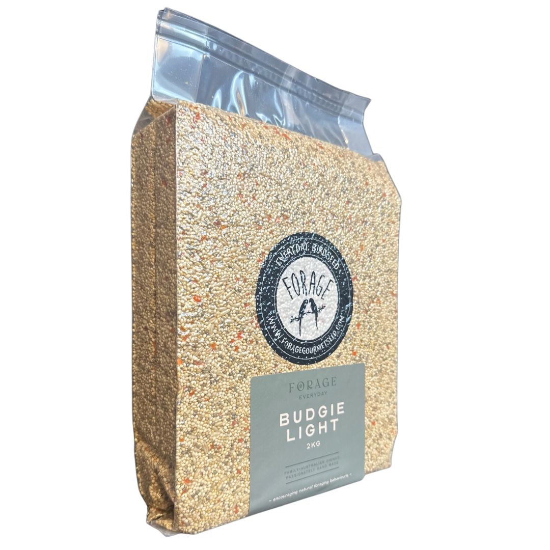 Forage Everyday Bird Seeds Budgie Light - 2k | PeekAPaw Pet Supplies