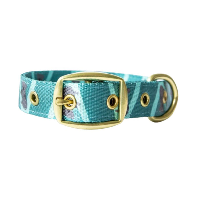 Anipal Kylo the Koala Dog Collar - Medium | PeekAPaw Pet Supplies