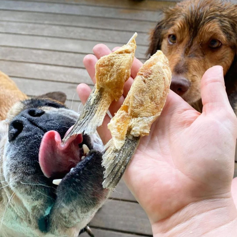 The Paw Grocer Freeze Dried Dogs & Cats Treats Salmon Belly  | PeekAPaw Pet Supplies