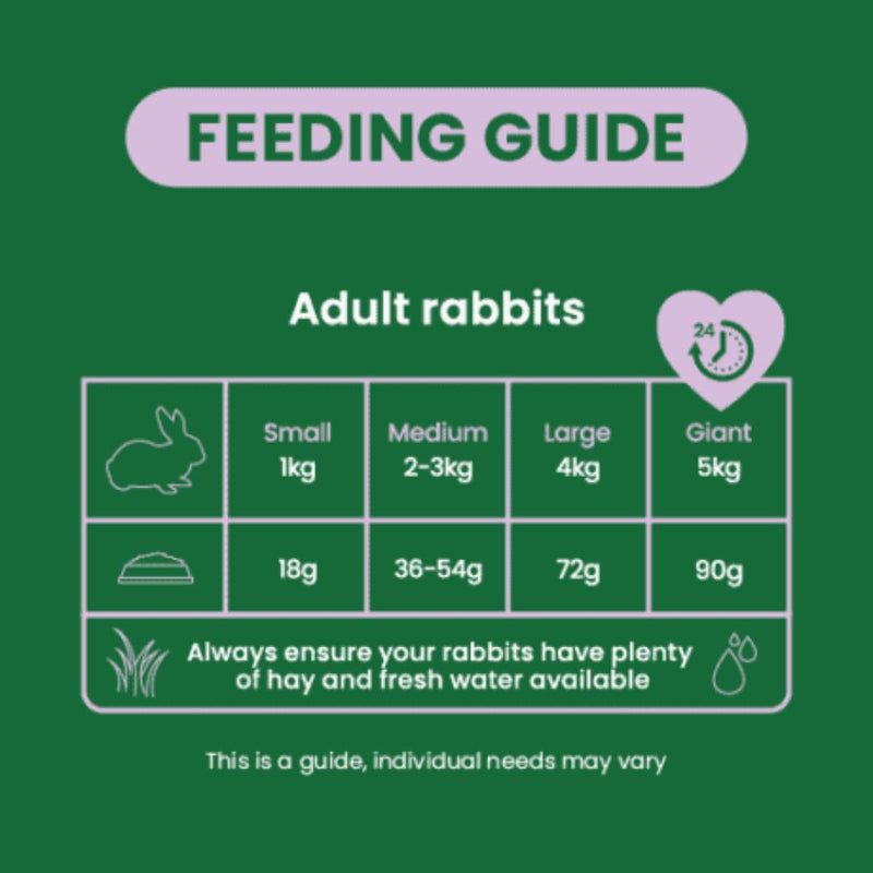Burgess Excel Rabbit Nuggets Lite | PeekAPaw Pet Supplies