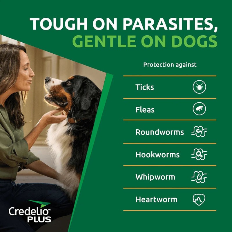 Credelio Plus for Medium Dogs 5.5-11kg | PeekAPaw Pet Supplies
