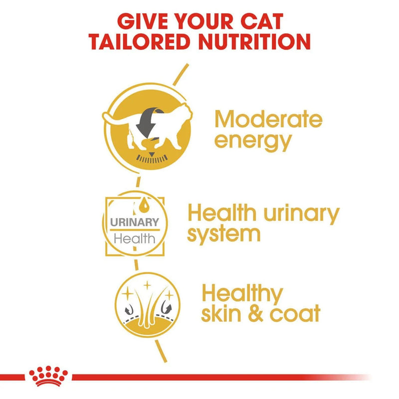 Royal Canin Wet Cat Food British Shorthair Gravy