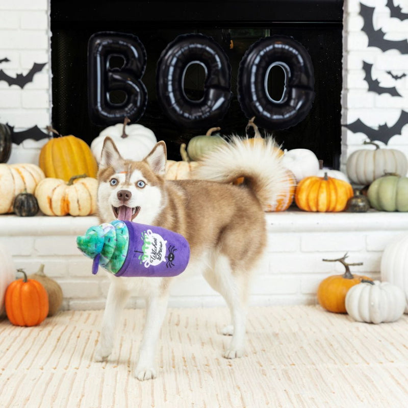 Fringe Studio Halloween Plush Squeaker Dog Toy - Witches Brew | PeekAPaw Pet Supplies