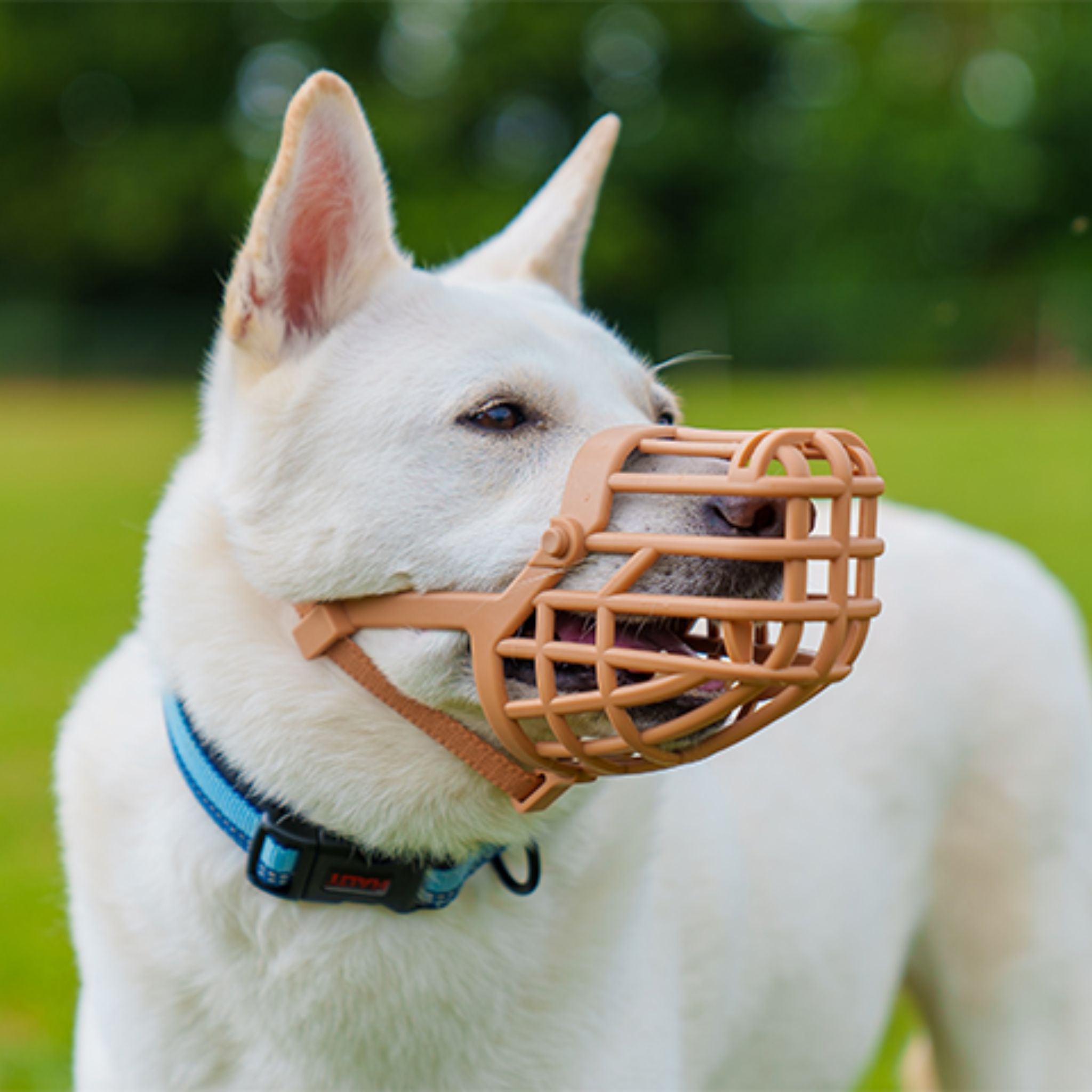 Baskerville Classic Basket Muzzle