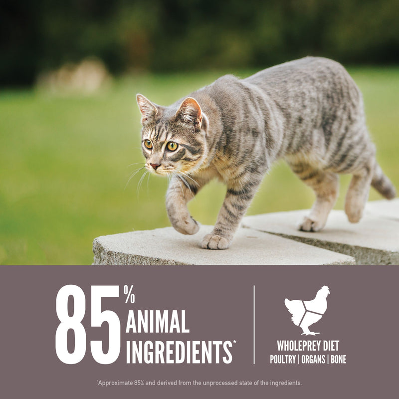 ORIJEN Biologically Appropriate Dry Cat Food Fit and Trim