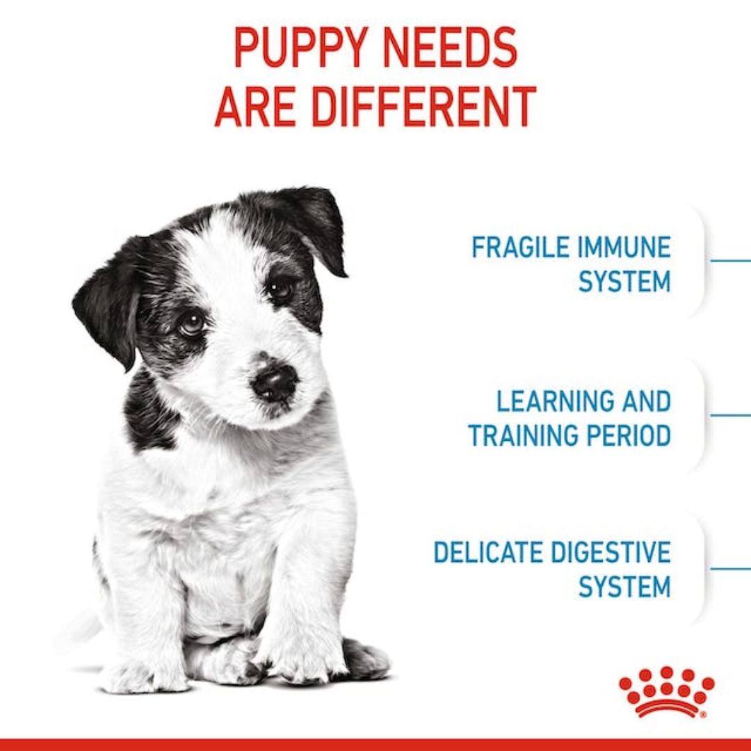 Royal Canin Mini Puppy | PeekAPaw Pet Supplies