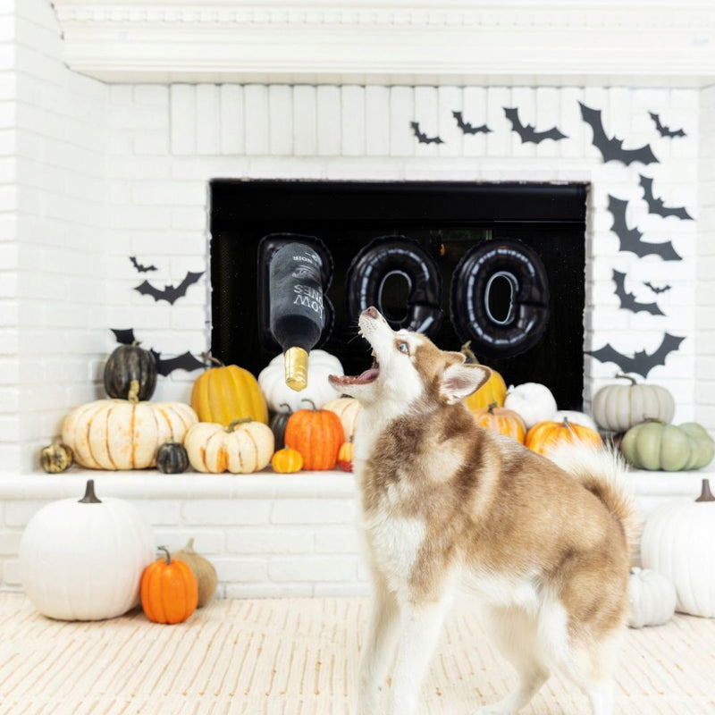 Fringe Studio Halloween Plush Squeaker Dog Toy - Slow Bones Pinot Noir |  PeekAPaw Pet Supplies