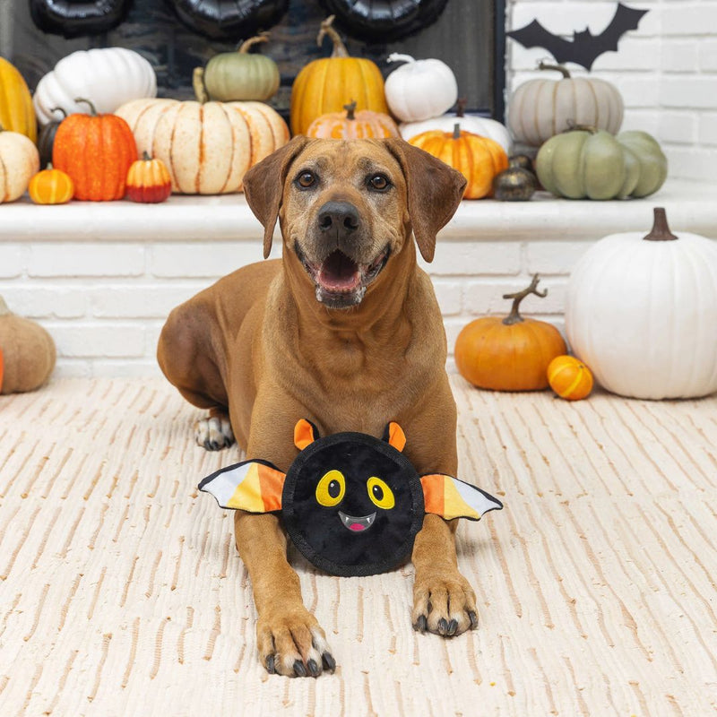 Fringe Studio Halloween Plush Squeaker Dog Toy - Bat's The Way It Is | PeekAPaw Pet Supplies