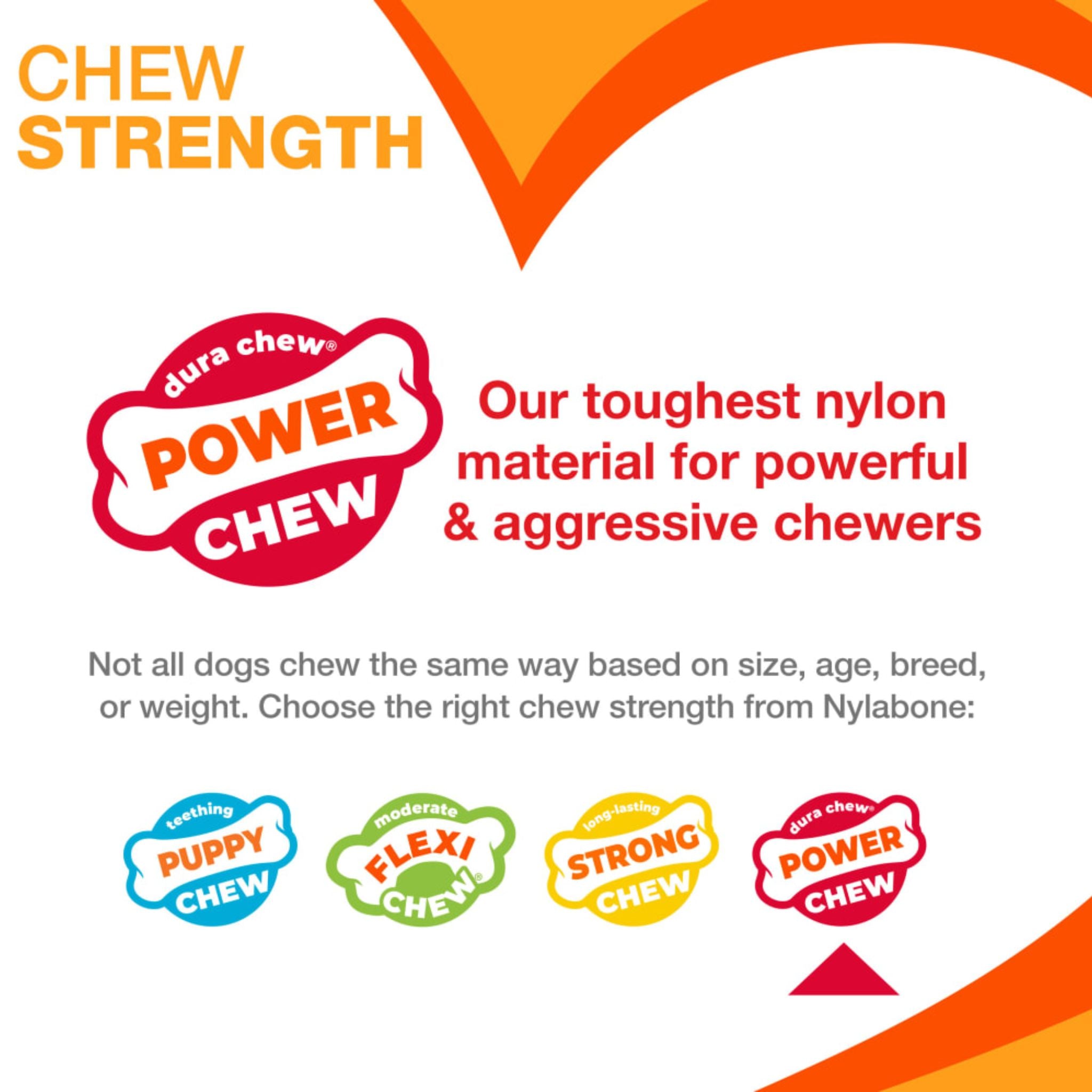 Nylabone Double Action Bone Dog Chew Toy Bacon Flavor