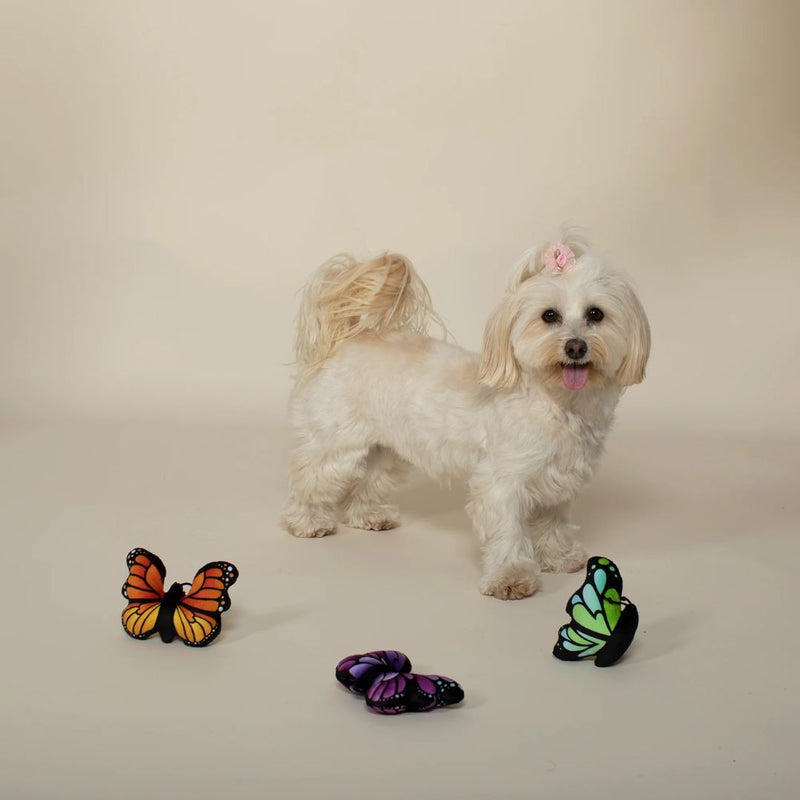 Fringe Studio Plush Dog Toy - Butterflies  | PeekAPaw Pet Supplies
