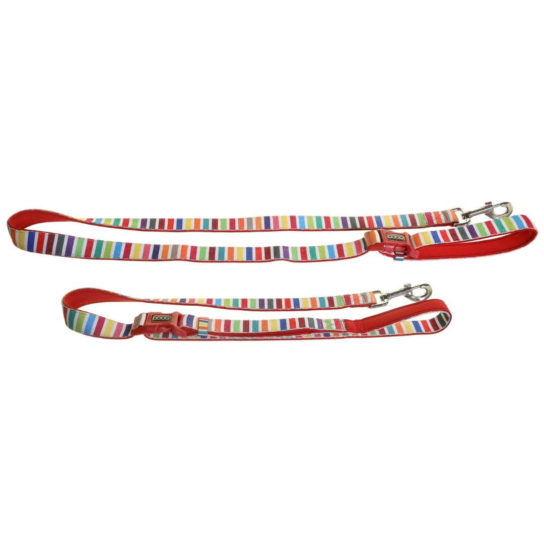 Doog Clip It Neoprene Dog Leash - Scooby | PeekAPaw Pet Supplies