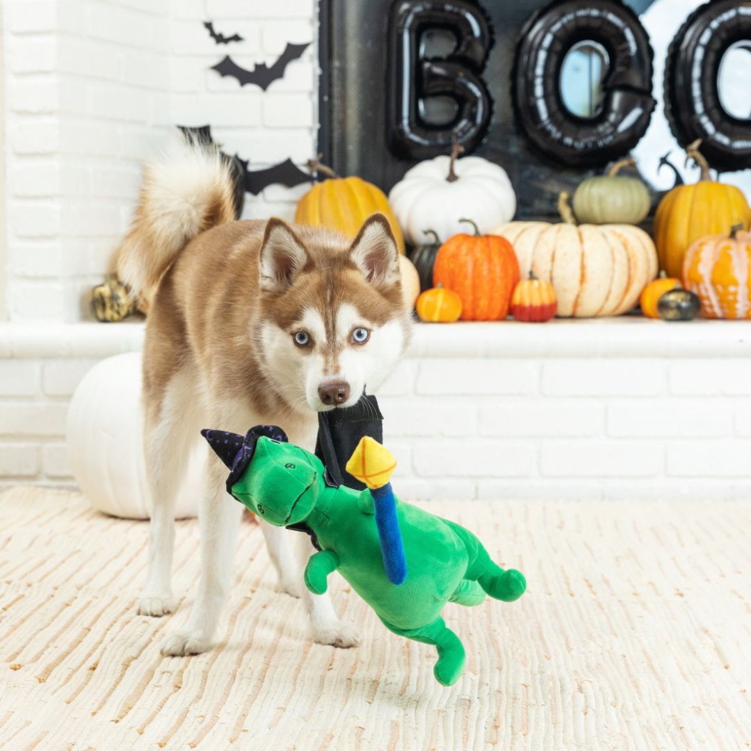 Fringe Studio Halloween Plush Squeaker Dog Toy - Spell-A-Saurus Dino Witch  | PeekAPaw Pet Supplies