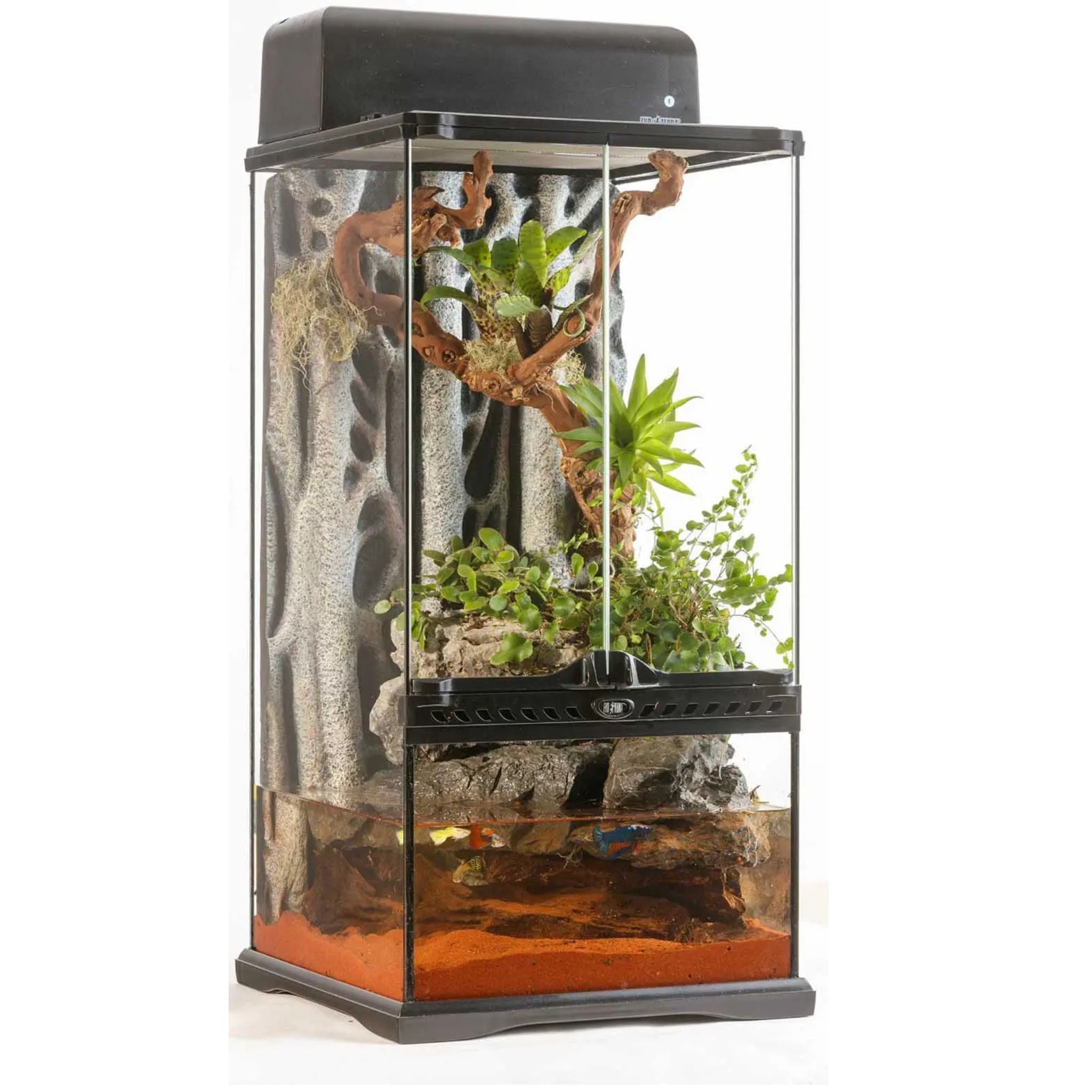 Exo Terra Natural Terrariums