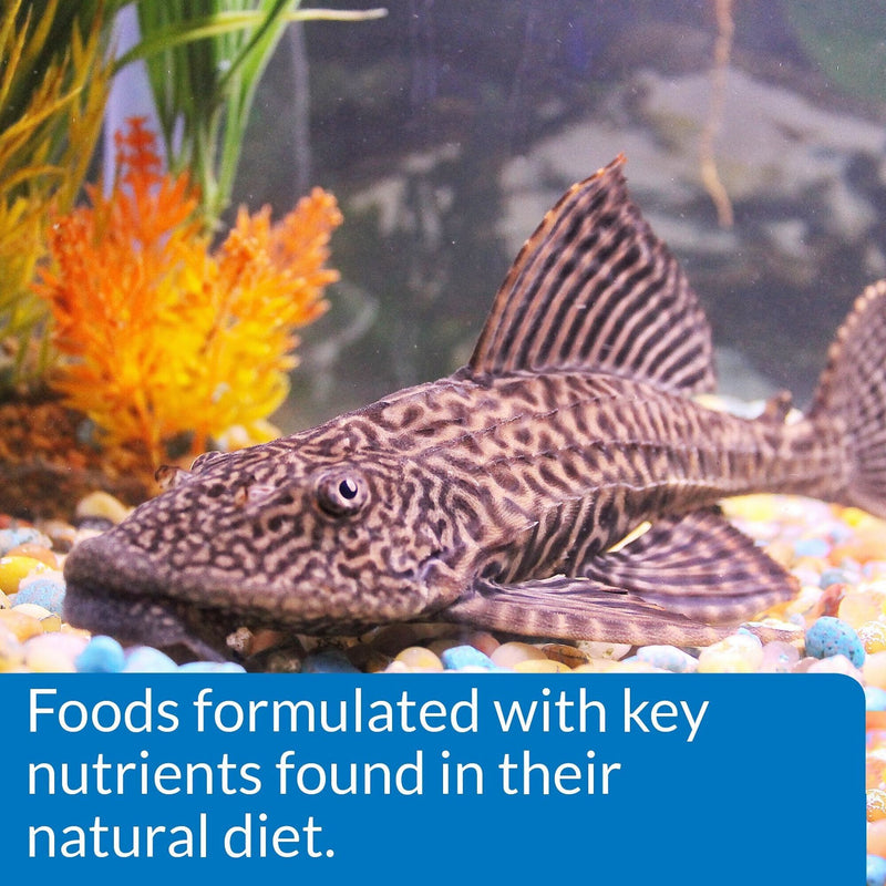 API Algae Eater Wafers