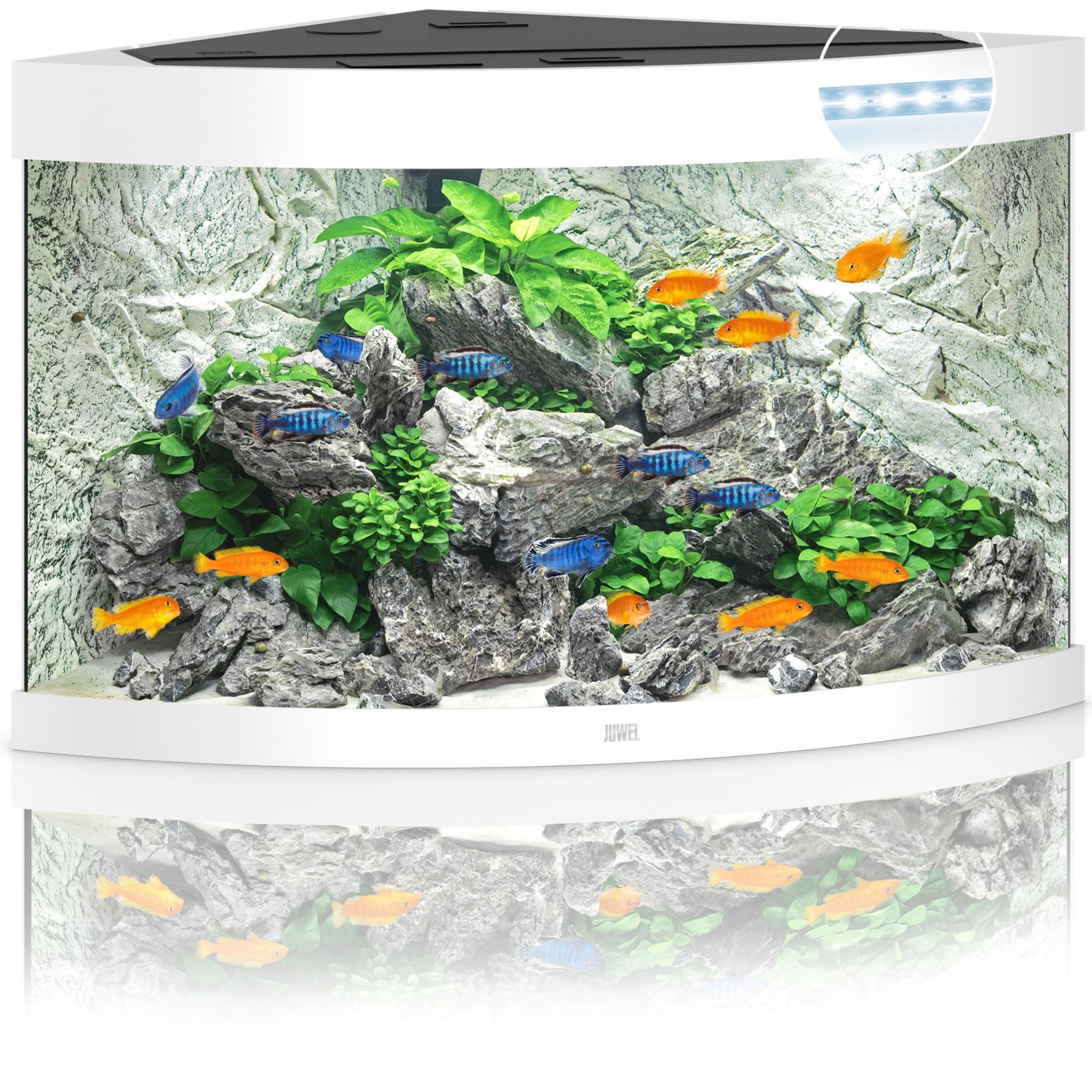 Juwel Trigon LED Aquarium 190L