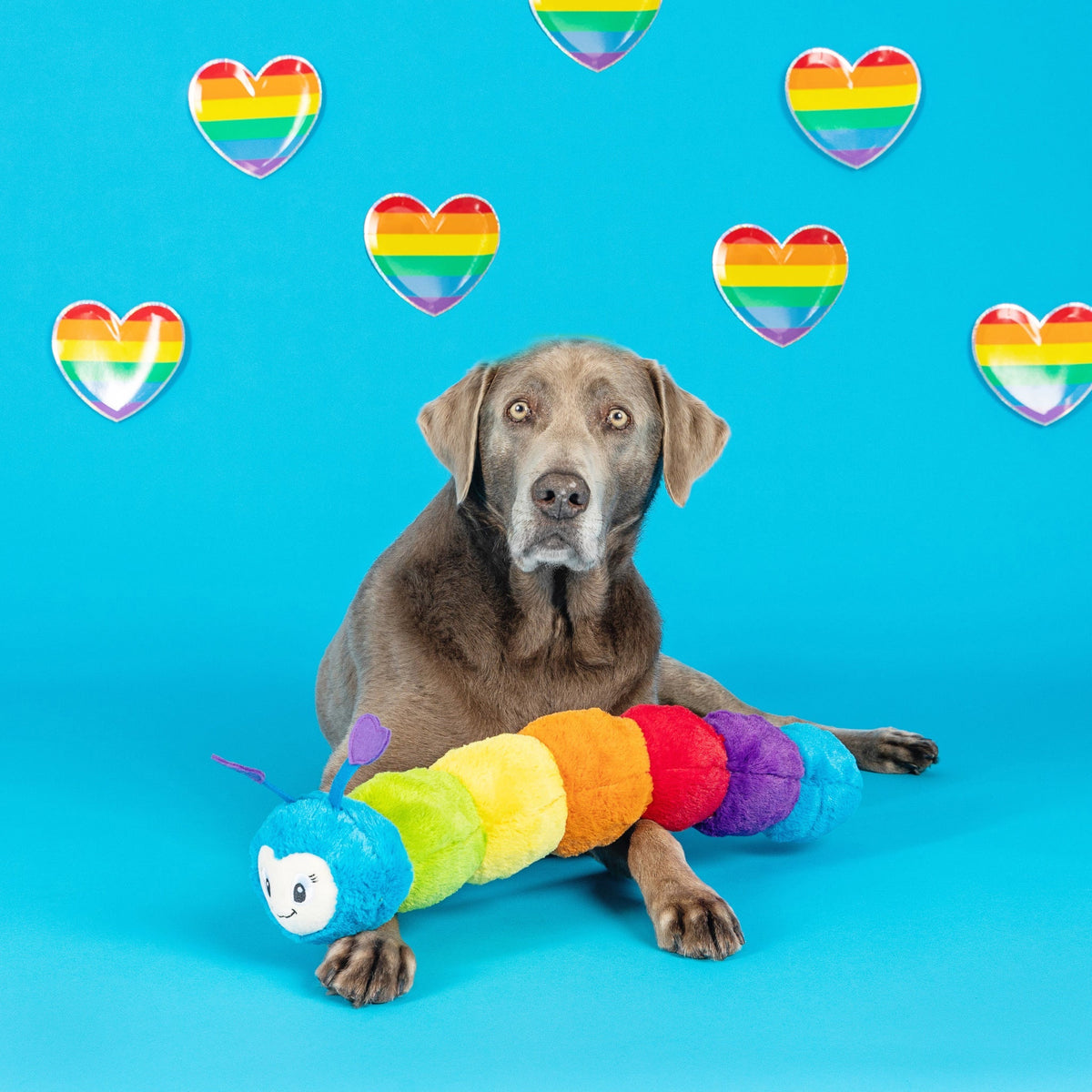 Fringe Studio Plush Squeaker Dog Toy - Don't Bug Me — detail