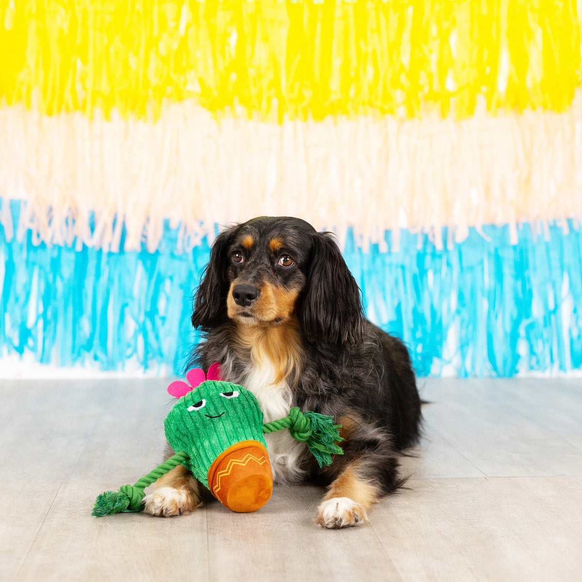 Fringe Studio Plush Squeaker Dog Toy - You Grow Chica Cactus — detail